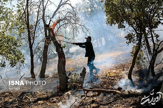 "ملکه ایران" سیاه بخت شد